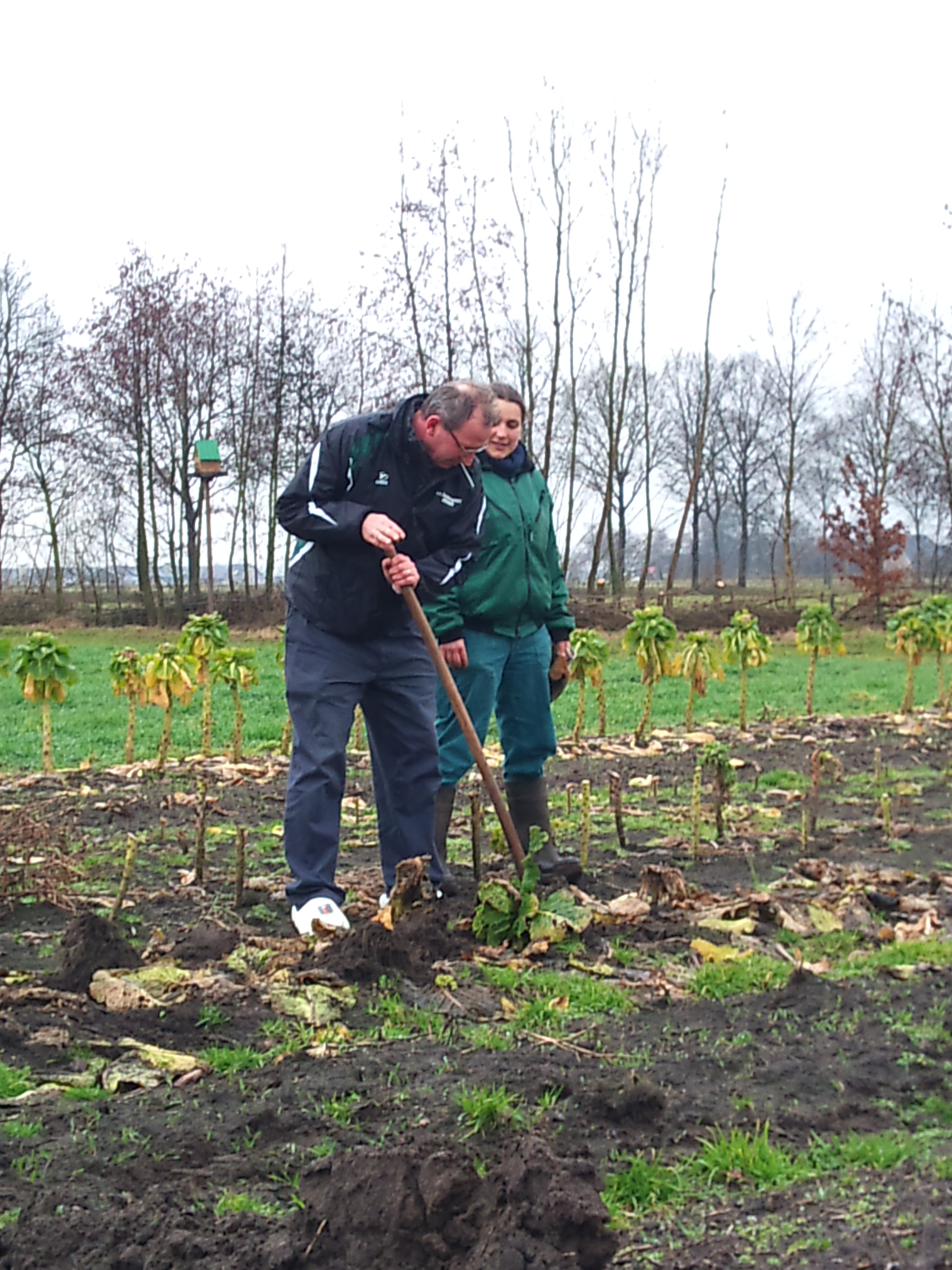 Acore Coaching: handen uit mouwen in Utrecht en Zwolle op biologische boerderij